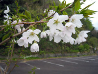 201003283.jpg